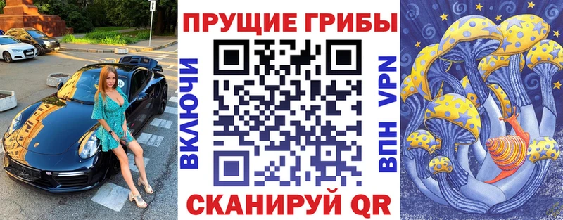 блэк спрут как зайти  Онега  Псилоцибиновые грибы GOLDEN TEACHER 